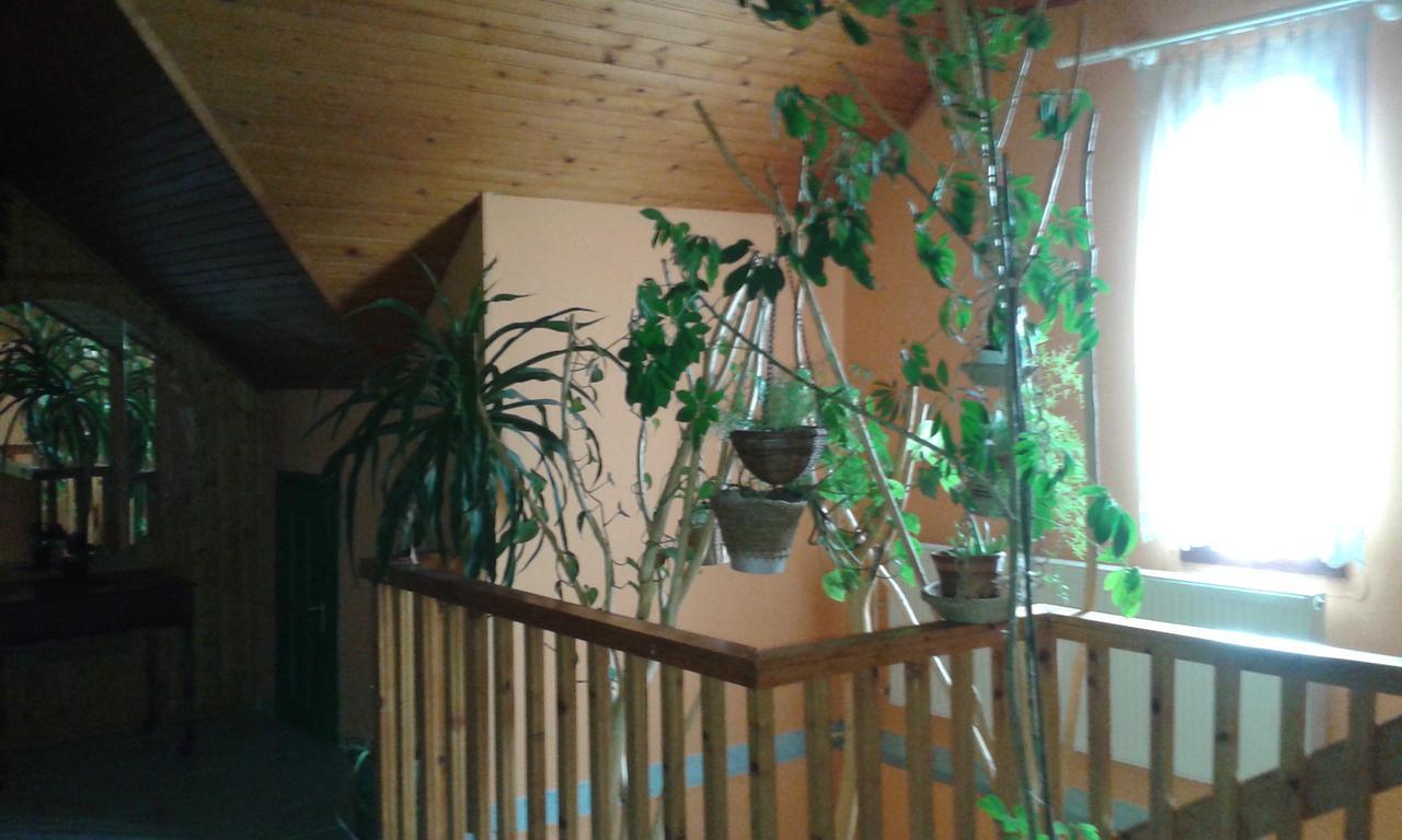 Kisdiofa Panzio Es Vendeglo Bed and Breakfast Vajdácska Eksteriør billede